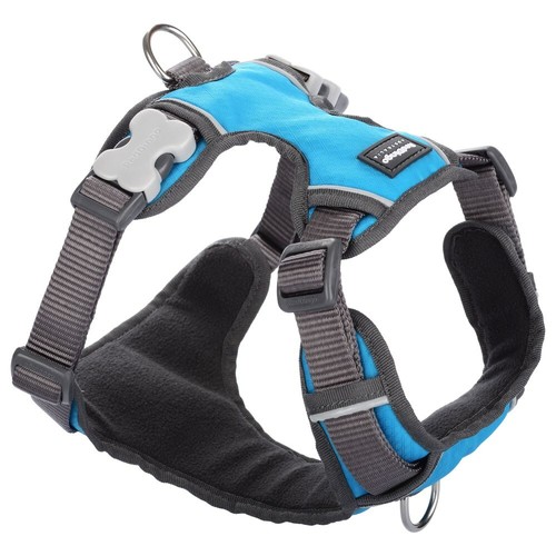 Red dingo turquoise - red,