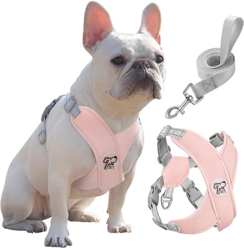 Small dog harness - small,