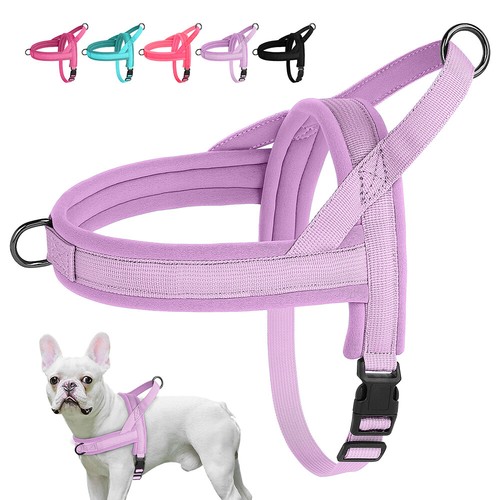 Quick fit dog harness - dog, with