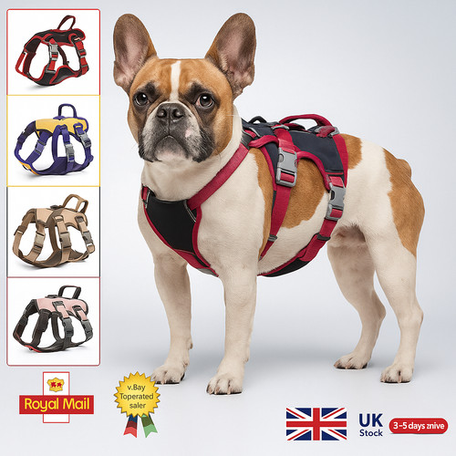 Dog harness pull for - dog, small
