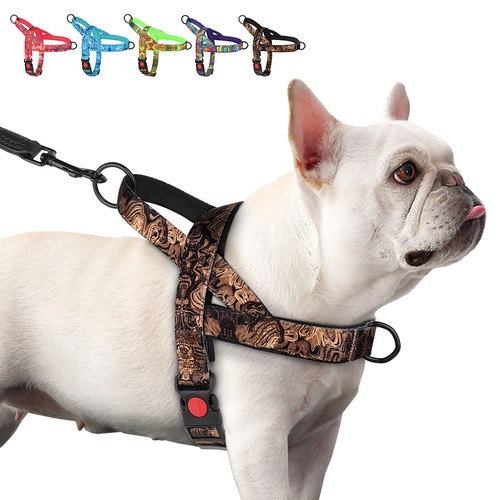 Pull dog harness with soft - dog,