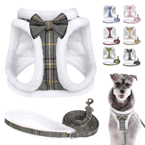 Winter warm dog - warm,