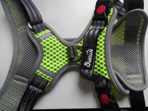 Dog harness puppy - dog, pet