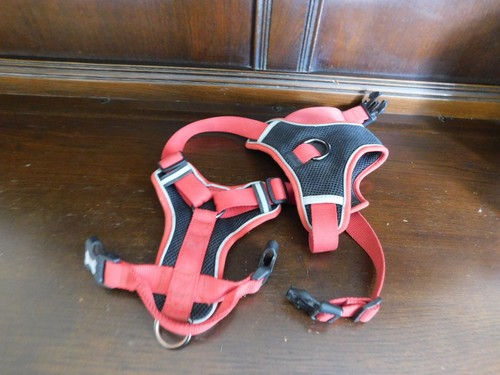 Red black padded medium - padded, dog