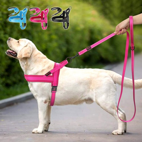 Reflective nylon dog - nylon, harness