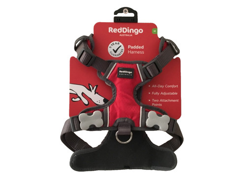 Red dingo padded dog harness - dog,