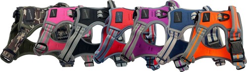 Hem boo sports dog - hem, &