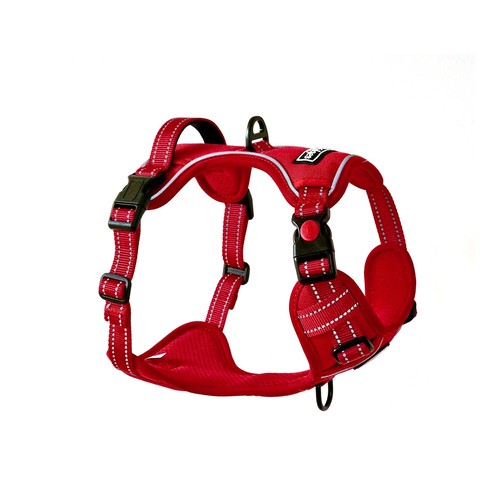 Barkridges triple buckle dog - barkridges®,