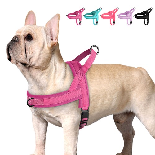 Pull dog harness - pull,