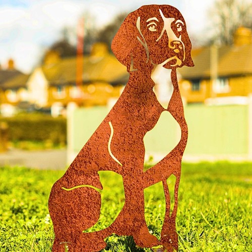 Beagle dog garden - dog,