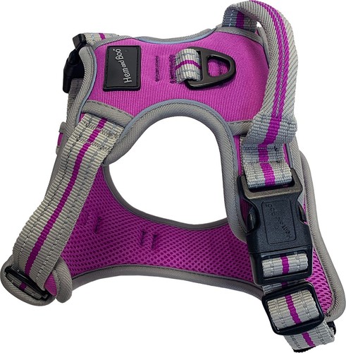 Dog puppy harness - dog,