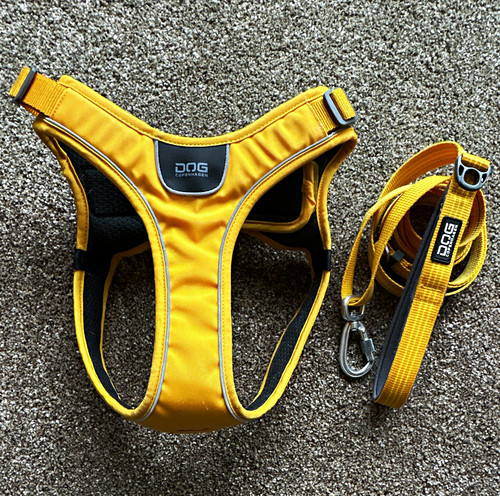 Dog copenhagen adjustable - dog,