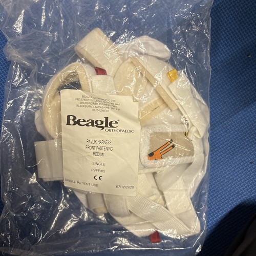 Beagle paediatric pavlik - beagle,
