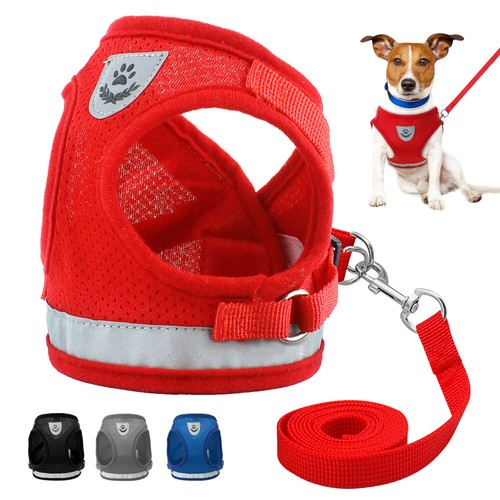 Escape proof dog - escape,