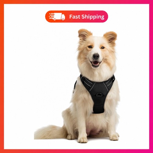 Medium dog harness - medium, harness,