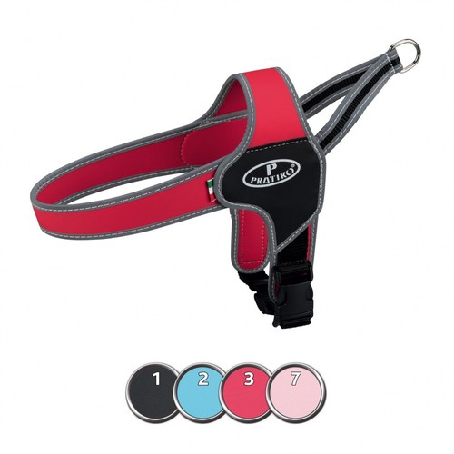 Pratiko norwegian dog - pratiko®,
