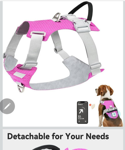 Joytale grey nylon dog - joytale,