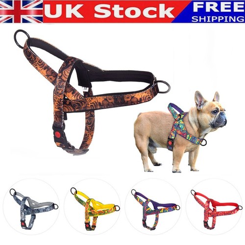 Pull dog harness - nylon, with
