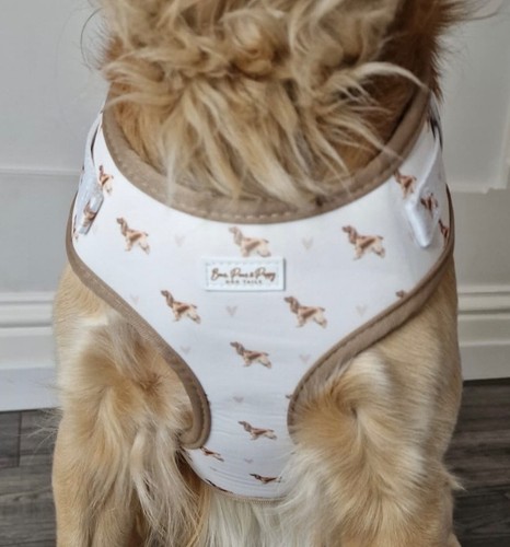 Dog harness and lead set - dog,